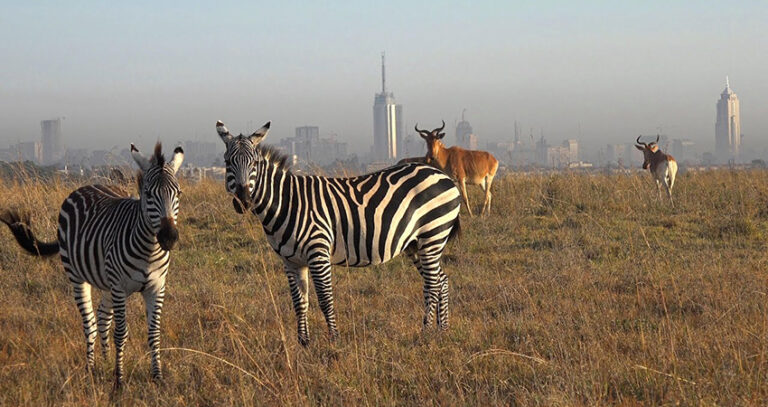 1-day-nairobi-city-tour-1 (5)